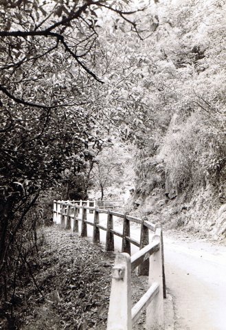 中正中學歷史照片